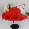 Women Fashion Mesh Flowers Decoration Big Eaves Fedora