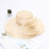 Women Fashion Lace Embroidered Flowers Decorated Big Eaves Fedora