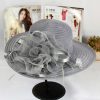 Women Fashion Mesh Flowers Decoration Big Eaves Fedora