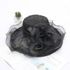 Women Fashion Lace Embroidered Flowers Decorated Big Eaves Fedora