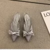 Women Elegant Bow Decorated Pointed Toe Chunky Heel Sandals